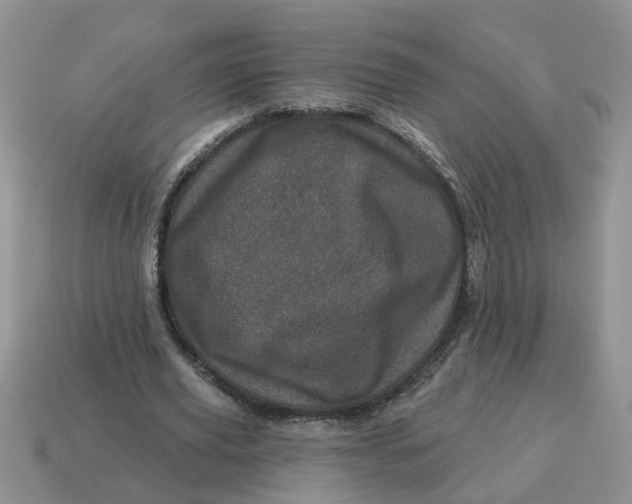X0000114490629200911091049