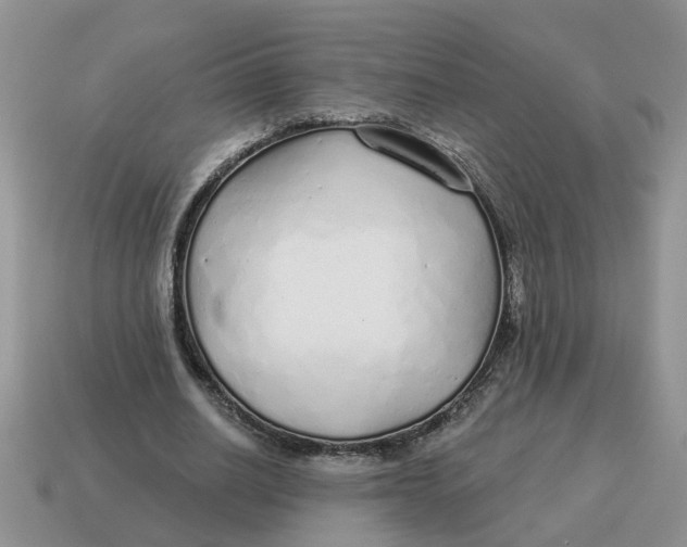 X0000114490630200911091049