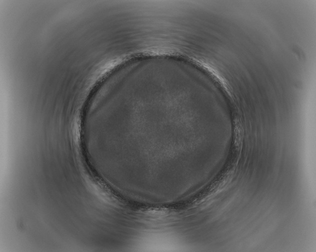 X0000114490631200911091049