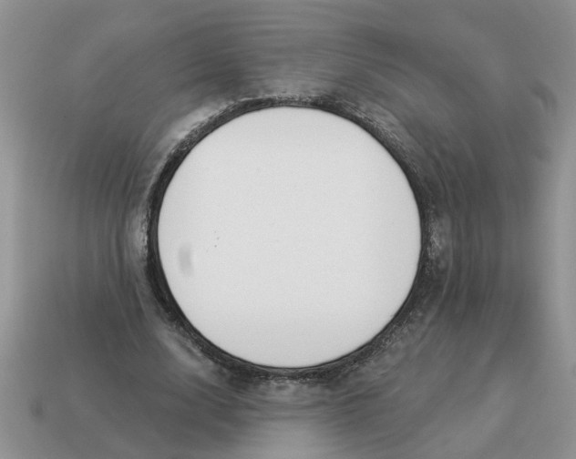 X0000114490632200911091049