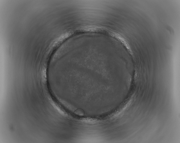 X0000114490633200911091049