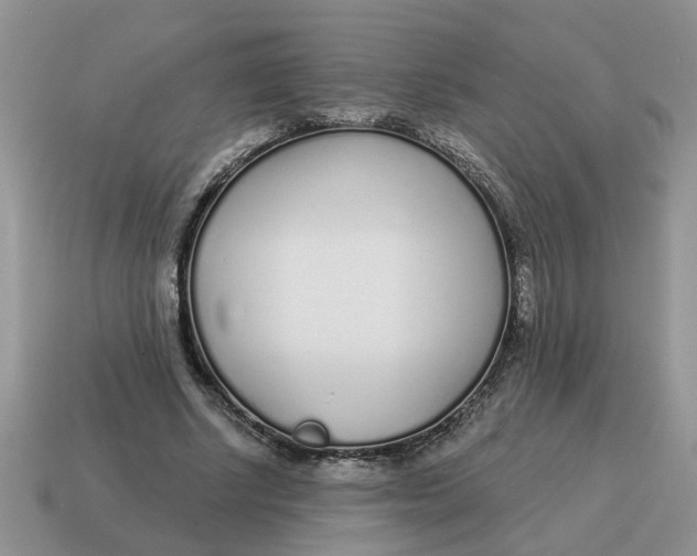 X0000114490634200911091049