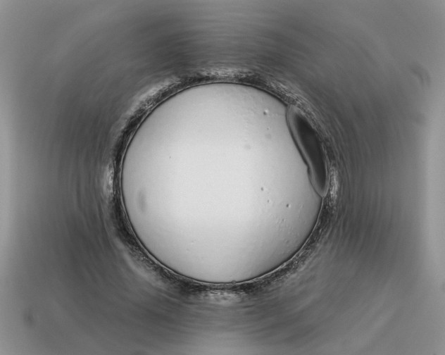 X0000114490636200911091049
