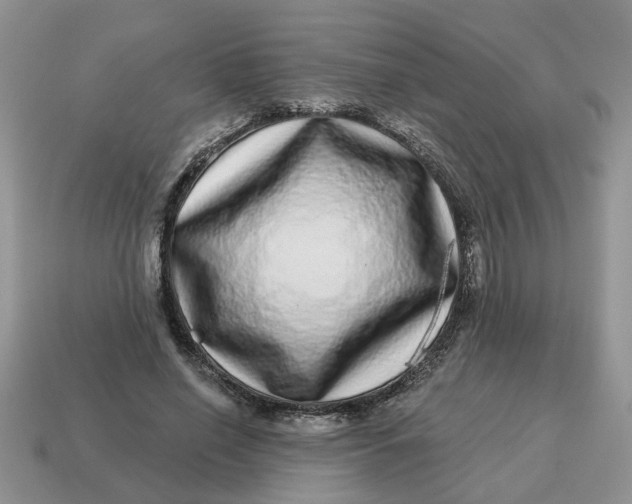 X0000114490638200911091049