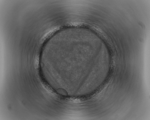 X0000114490640200911091049