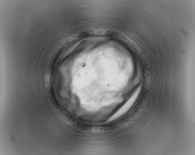 X0000114490641200911091049