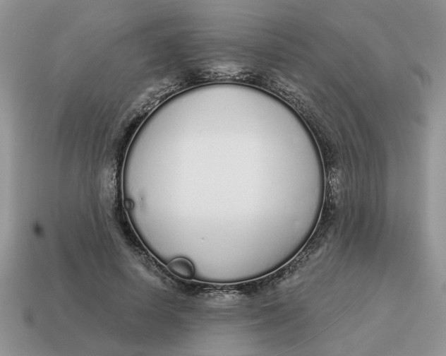 X0000114490642200911091049