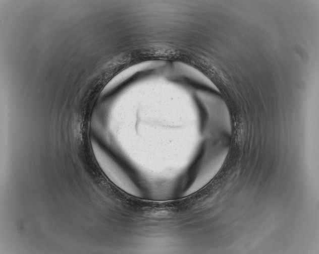 X0000114490643200911091049