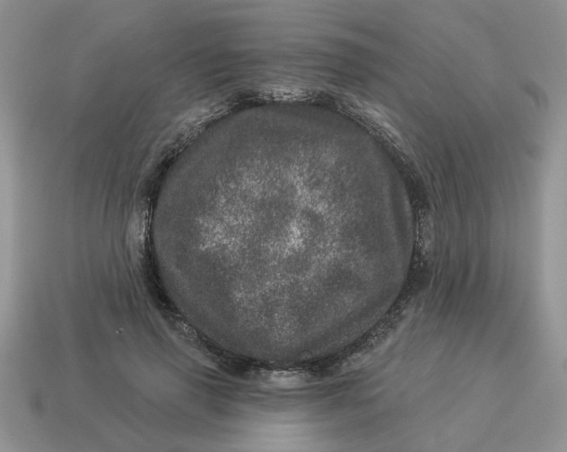 X0000114490645200911091049