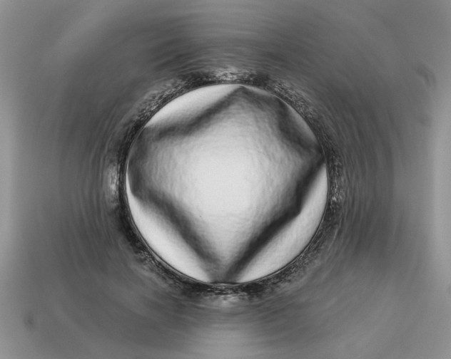 X0000114490646200911091049