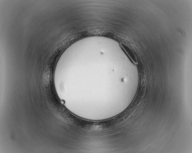 X0000114490647200911091049