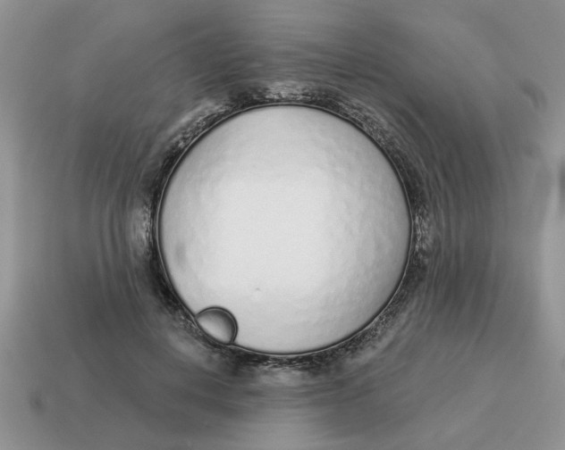 X0000114490648200911091049