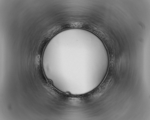 X0000114490649200911091049