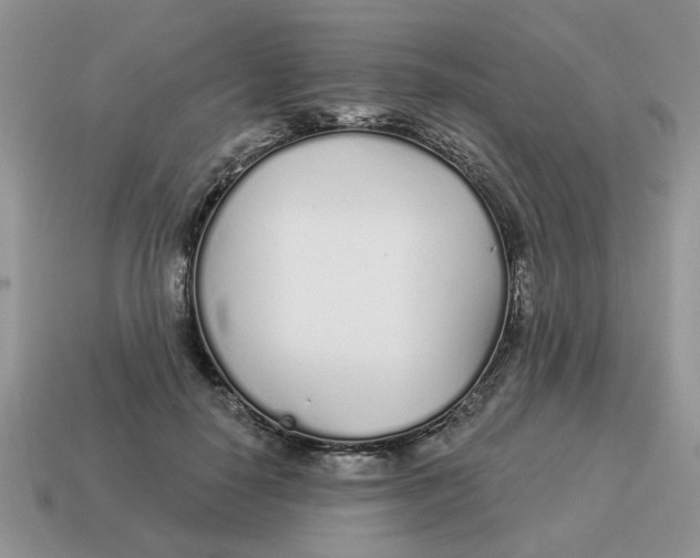 X0000114490650200911091049