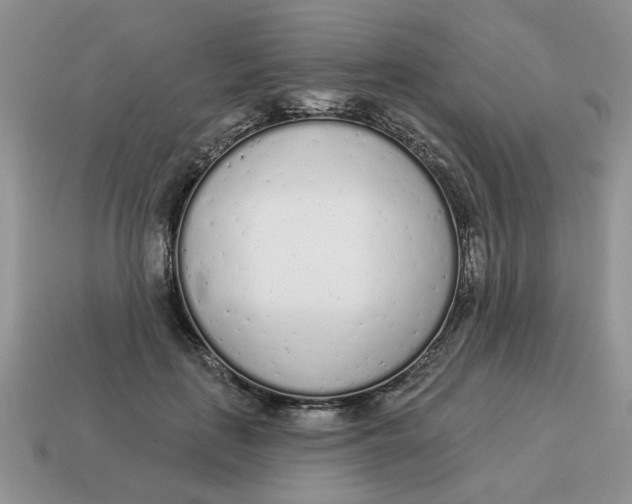 X0000114490651200911091049