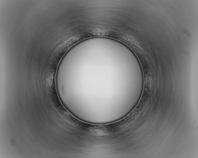 X0000114490652200911091049