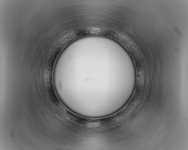 X0000114490653200911091049