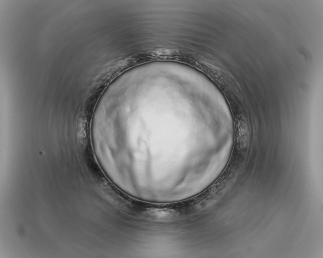 X0000114490654200911091049