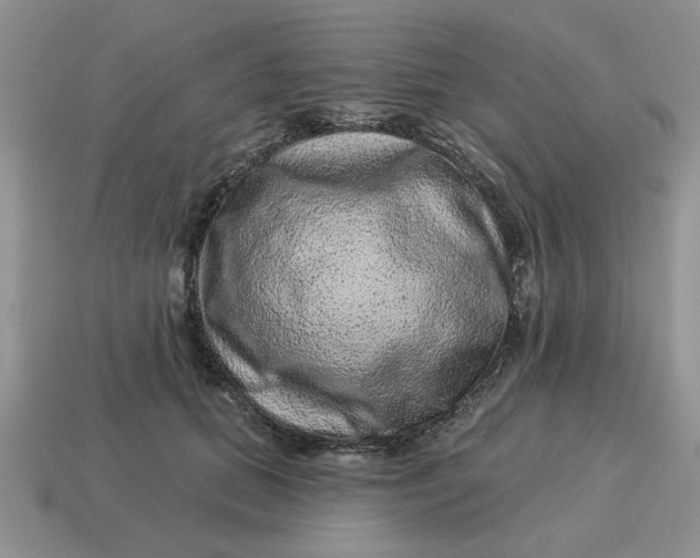 X0000114490655200911091049