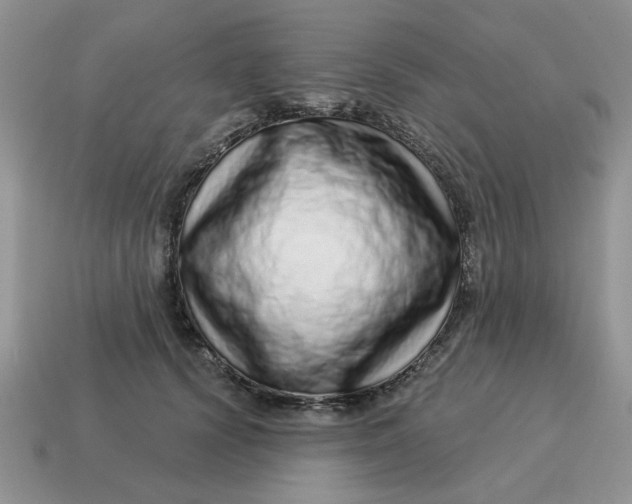 X0000114490656200911091049