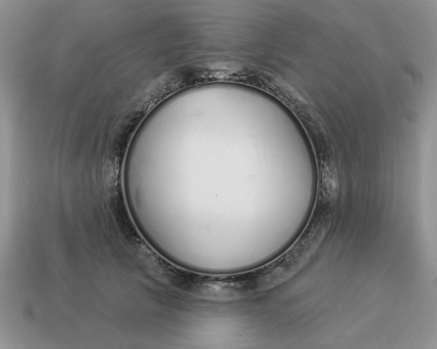 X0000114490657200911091049