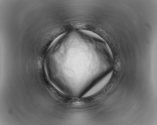 X0000114490658200911091049