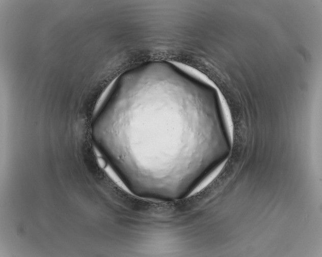 X0000114490659200911091049
