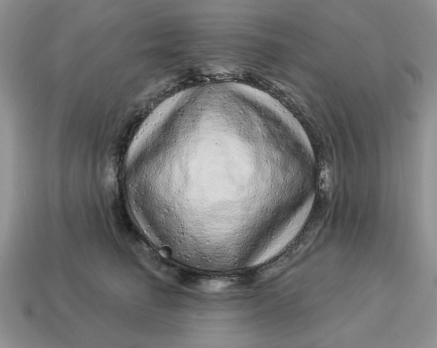 X0000114490662200911091050