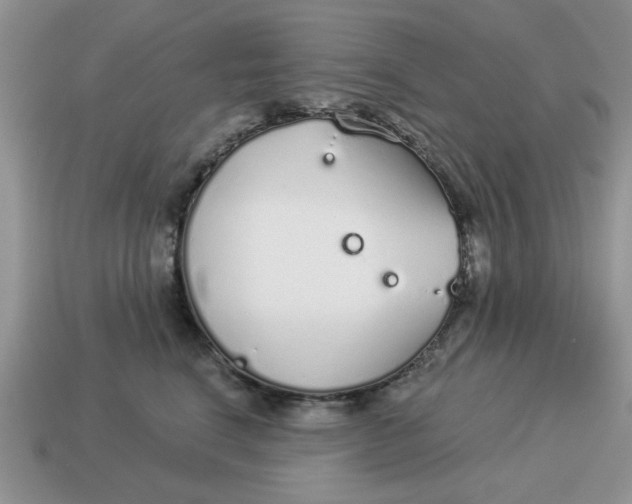 X0000114490664200911091050