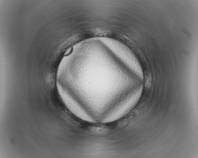 X0000114490666200911091050