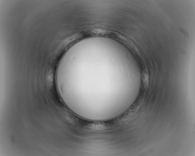 X0000114490668200911091050