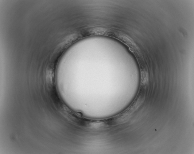 X0000114490669200911091050