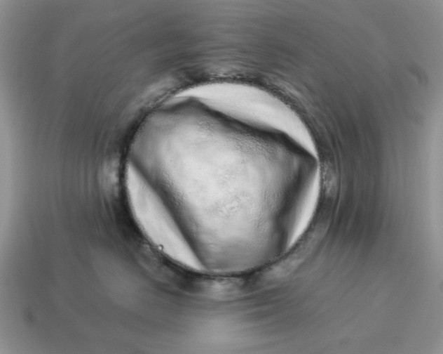 X0000114490670200911091050