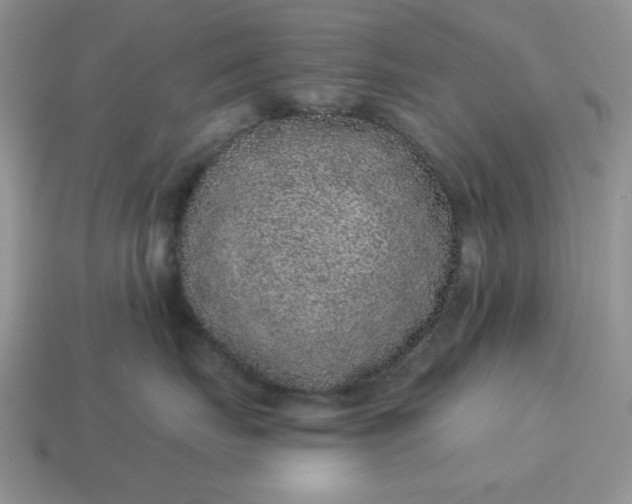 X0000114490671200911091050