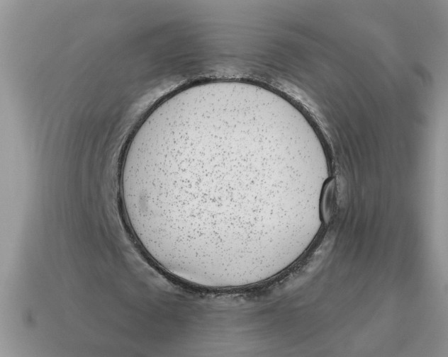 X0000114490673200911091049