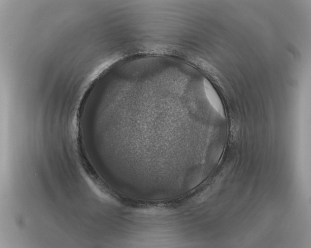 X0000114490674200911091049