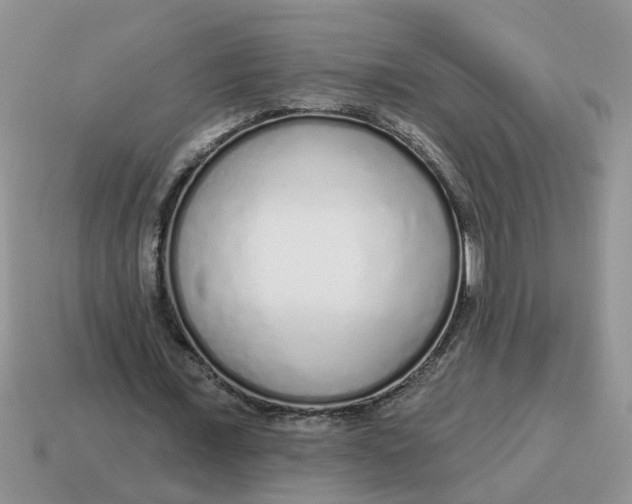 X0000114490675200911091049