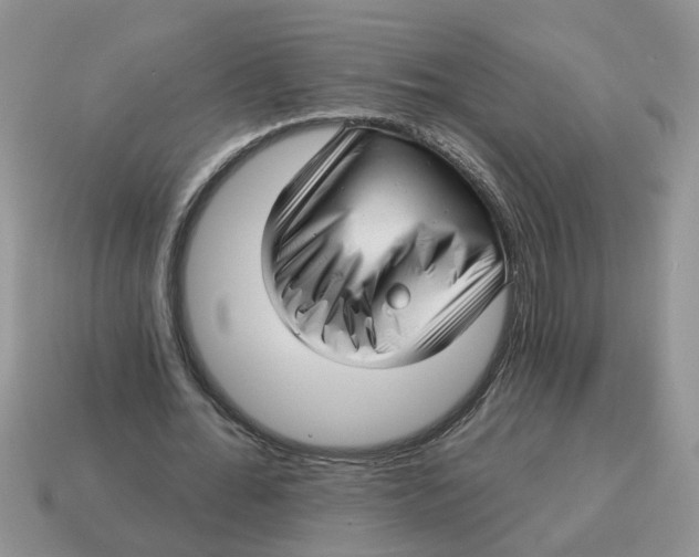 X0000114490676200911091049