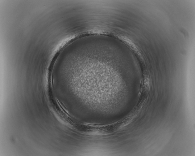X0000114490678200911091049