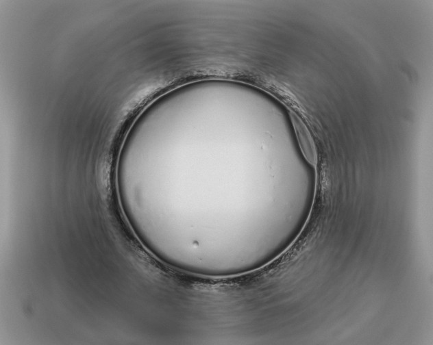 X0000114490679200911091049