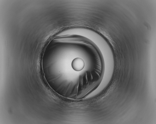 X0000114490681200911091049