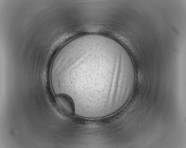 X0000114490682200911091049