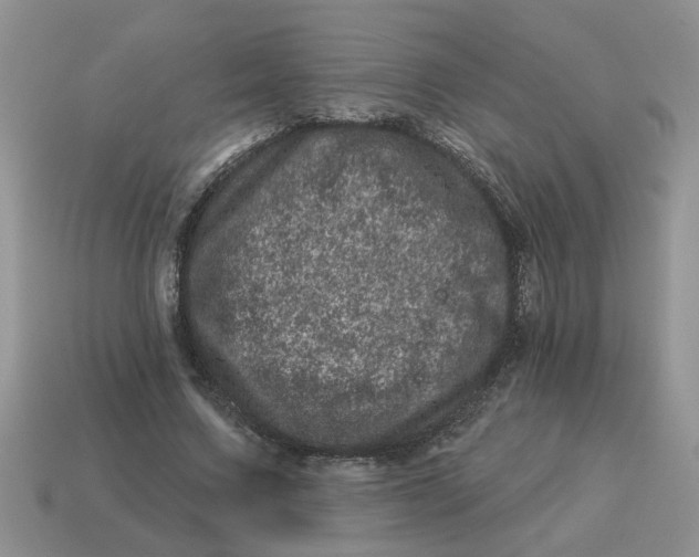 X0000114490683200911091049