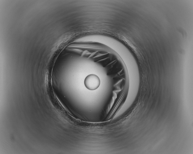 X0000114490685200911091049