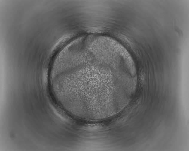 X0000114490686200911091049
