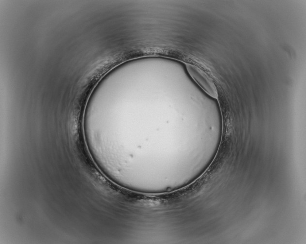 X0000114490687200911091049