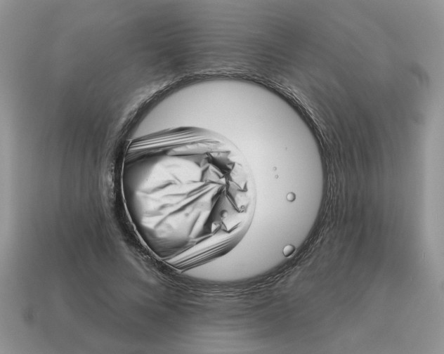 X0000114490688200911091049