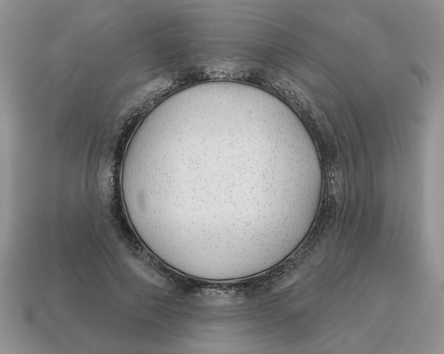 X0000114490690200911091049