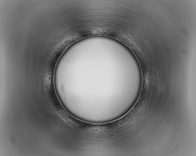 X0000114490691200911091049
