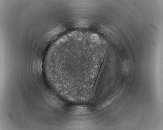 X0000114490692200911091049